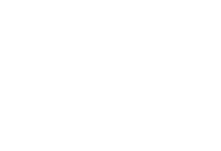 Logotipo de Terrum