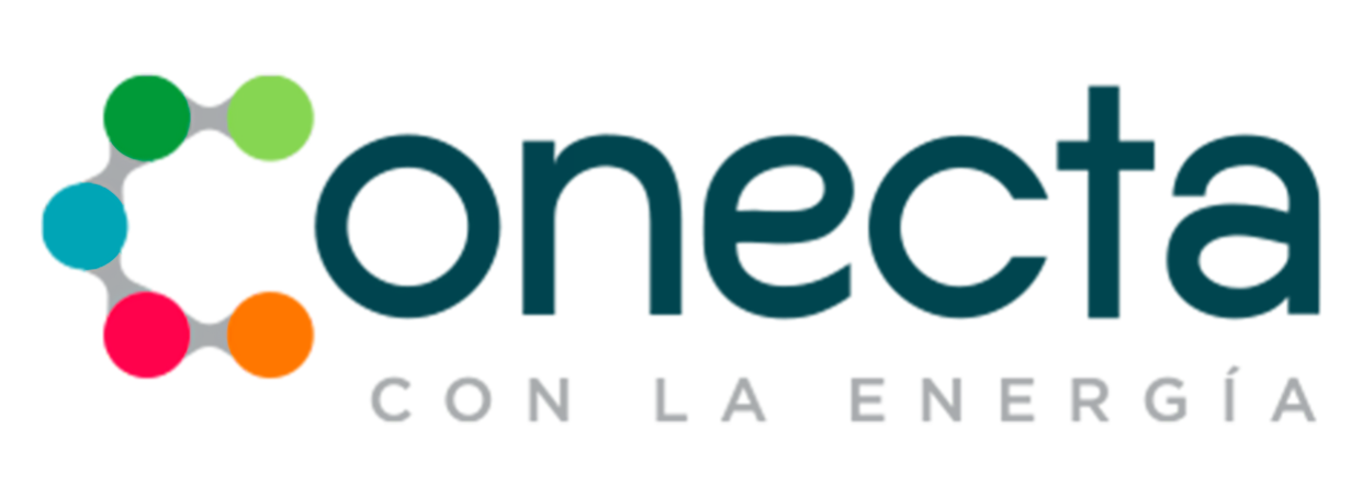logo conecta